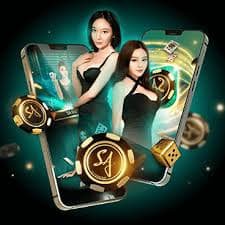 7u7 bet app