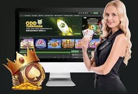7u7 bet app